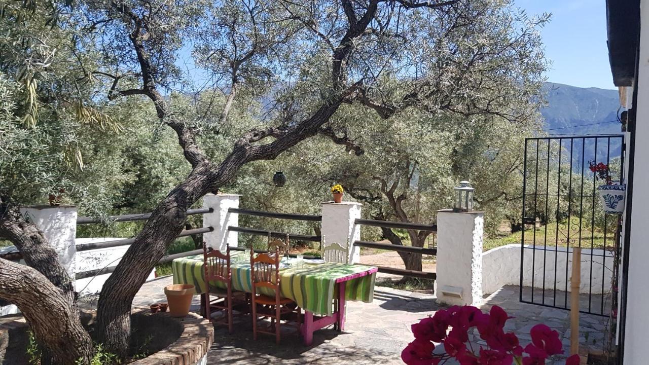 Gateway To The Alpujarras, 'Cortijo Derry' Hotel Orgiva Exterior foto